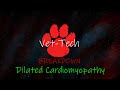 Vet-Tech Bites | Vet-Tech Breakdown! | DCM | Dilated Cardiomyopathy