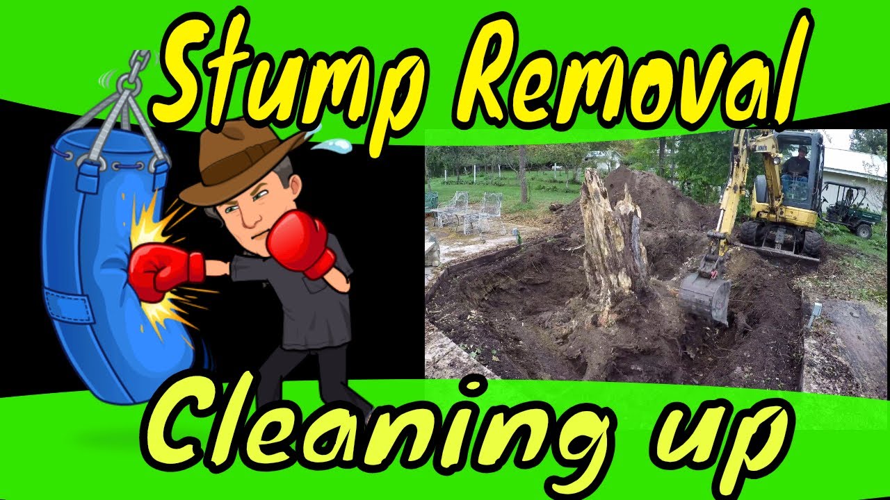 Stump Removal - YouTube