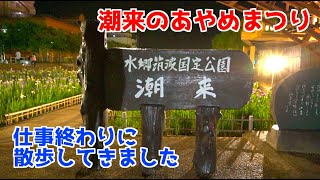 【潮来のあやめまつり2021】仕事終わりに散歩しながら行ってきました