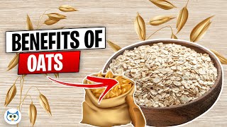 What Happens When You Start Eating OATS Every Day