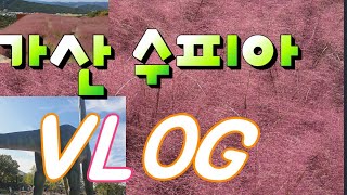 가산 수피아VLOG  핑크뮬리🌷