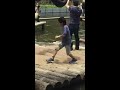 マスーミ　清水公園　アスレチック