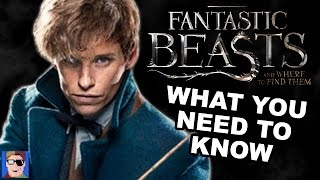 What You Need To Know Before Seeing Fantastic Beasts And Where To Find Them