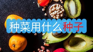 种菜用什么种子？使用商店的蔬菜里的种子可以吗？有哪些需要注意的地方！