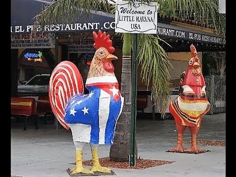 Miami's Calle Ocho Street Art Rooster Statues In Little Havana - YouTube