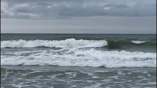 Shark leaps out of ocean behind unsuspecting surfer