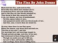 meg 1 the flea by john donne explanation