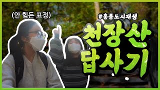 [홍릉도시재생] 산책하기 좋은 동대문구 천장산 다녀오기 / 이 정도는 가.뿐.하.게