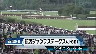 2024年 新潟ジャンプステークス（Ｊ・ＧⅢ） ファンファーレ