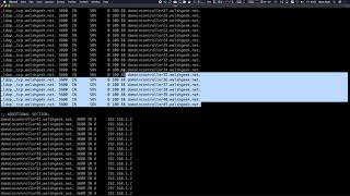 Zscaler Private Access - API