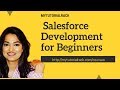 Salesforce Developer training for beginners: What is Batch Apex and its methods?