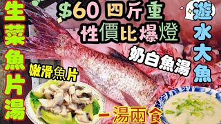 〈職人吹水〉$60 四斤重/ 遊水大魚/極度鮮味/生菜魚片湯/一湯兩食/超濃鬱奶白魚湯/嫩滑魚片/頻道會員優先 @singsingkitchen/