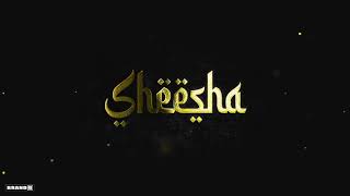 SHEESHA : Pari Pandher | Jordan Sandhu | Bunty Bains | Chet Singh Latest Punjabi Song 2021