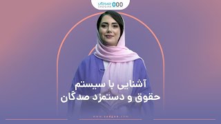 آشنایی با سیستم حقوق و دستمزد صدگان