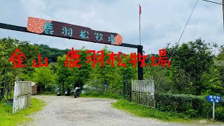 台灣新北市 金山鹿羽松牧場 有羊駝 柯爾鴨 跳跳羊  綿羊豬 梅花鹿 可愛喵喵 水豚君                   可牽手散步至觀景台賞景  推薦親子旅遊和小情侶行程