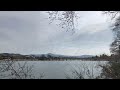 2022年3月28日 月 桜の季節の始まり　京都嵐山🌸 kyoto arashiyama cherry blossom season