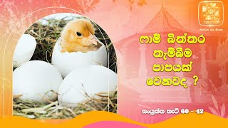 ෆාම් බිත්තර තැම්බීම පාපයක් වෙනවද ?