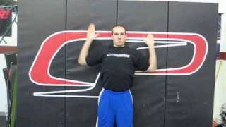 ShowandGoTraining.com: Scapular Wall Slides