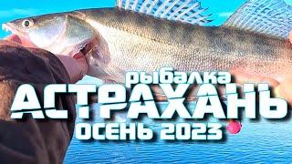 Рыбалка Астрахань 2023 Осень / Рыбалка на реках Волга Ахтуба