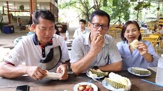 “กินทุเรียนก่อนใคร ต้องไประยอง”สวนสุภัทราแลนด์ระยอง เปิดฤดูกาลผลไม้ ชวนกินบุฟเฟ่ต์ทุเรียนและผลไม้