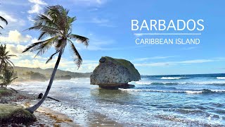 BARBADOS [PART 2] : top destinations to explore on a 7-Day trip to this beautiful Caribbean island