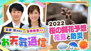 【お天気解説】今年の『桜』開花はいつ？最も早い場所は？桜の名所と防災には意外なつながりも…気象予報士がテレビより少～し長く解説します！(2022年3月11日)