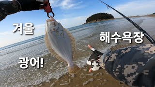 11월 끝자락 추운 태안권 해수욕장 광어  미노우 루어 낚시  minnow