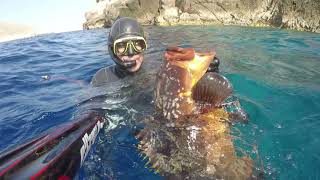 Spearfishing September 2021 Greece