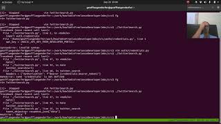 Object Oriented Python Refactoring Twitter API 2020