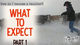 How Do I Become A Rancher? - Part 1 - What to Expect