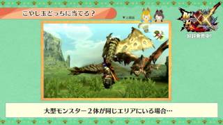 MH部『MHXX』基礎＆豆知識研究所・豆知識(5)こやし玉どっちに当てる！？