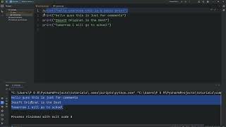 2 Comments in Python -- Python for Beginners