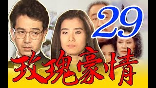 『玫瑰豪情』第29集（楊群、岳翎、甄玲、張晨光、艾偉、涂善妮、歸亞蕾、劉筱萍、杜文、孫興、羅婷婷）中視＿1993年