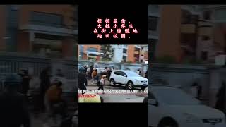 湖南小学门前发生车祸， 多名学生受伤。#viralvideo  #viralshorts  #china  #school #hit  #crime  #中国 #kids