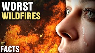 5 Most Devastating Forest Fires In The World