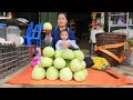 14-Year-Old Single Mother - Harvesting Melons to Go to the Market to Sell - Cooking - Raise Children