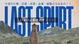 必要な方に表示されます❣️毎週更新天然石の占い❣️龍神カード・神様カード使用　#天然石からのメッセージ #占い