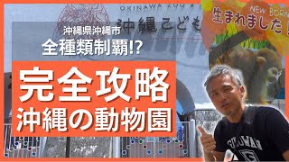 新エリア情報あり！猿の赤ちゃん含めた動物全種類制覇して完全攻略なるか？沖縄の動物園「沖縄こどもの国」が入場無料期間に挑戦してみた ～沖縄県民が紹介する観光地 #91