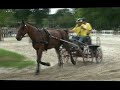 compiègne 2012 thierry casier obst 5