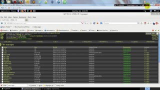 Remote code execution via Time Based blind Sql injection