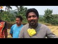 bhat kapani machine rice harvesting reaper konkan rajapur