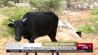 26% of Zimbabwe's population facing food shortage