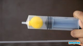 Boyle's Law Experiment - Balloon Test - Science Projects for Kids | Educational Videos by Mocomi