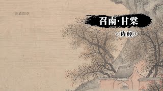 《诗经》召南·甘棠：《诗经》里的甘棠之恋：颂召公德政，寄情于树怀古情