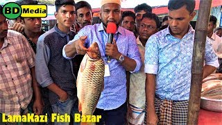 Lamakazi Bazar - Fish Market মাছের আরৎ লামা কাজী, বিশ্বনাথ, সিলেট