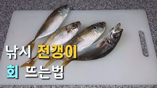 낚시로 잡은 전갱이 회 떠서 먹어보았습니다!