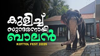 ഇന്ന് ആമ്പാടി ബാലൻ🔥 വിശ്രമവേളയിൽ കോട്ടോൽ fest 2024 | Ambady Balan Latest