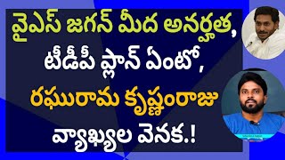 వైఎస్ జగన్ మీద అనర్హత, టీడీపీ ప్లాన్ ఏంటో, రఘురామ కృష్ణంరాజు వ్యాఖ్యల వెనక.! #ameeryuvatv #tirupati