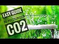 HOW TO set up a CO2 kit