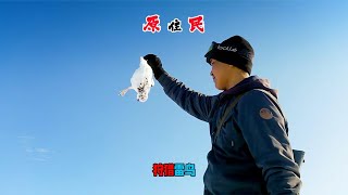 《阿拉斯加原住民》S2E11：年輕的獵人狩獵雷鳥養活一家，老人冰釣梭子魚當糧食！ #荒野生存